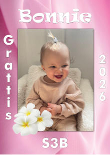 Studentskylt mall nr 13