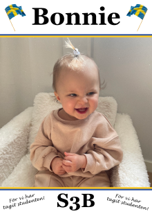 Studentskylt mall nr 21