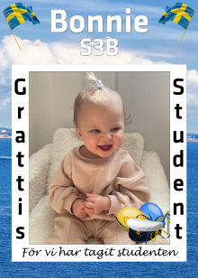 Studentskylt mall nr 12