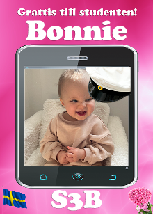 Studentskylt mall nr 34