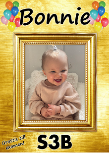 Studentskylt mall nr 31