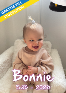 Studentskylt mall nr 29