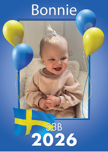 Studentskylt mall nr 15