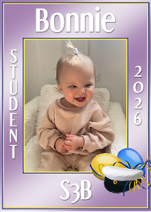 Studentskylt mall nr 47