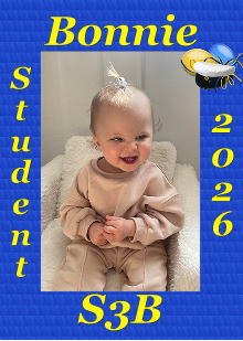 Studentskylt mall nr 17